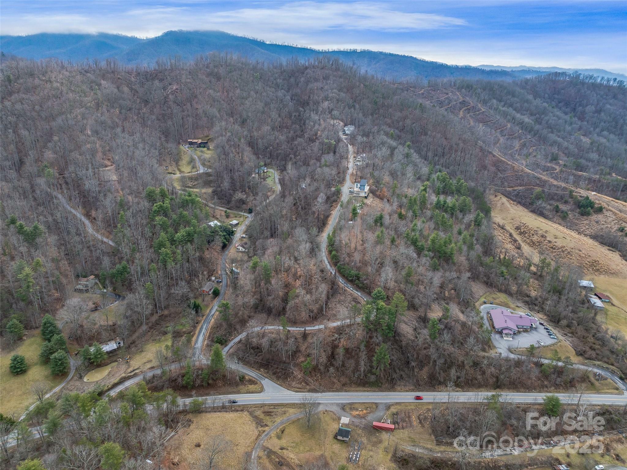 Property Photo:  99999  -2 Barnardsville Highway  NC 28787 