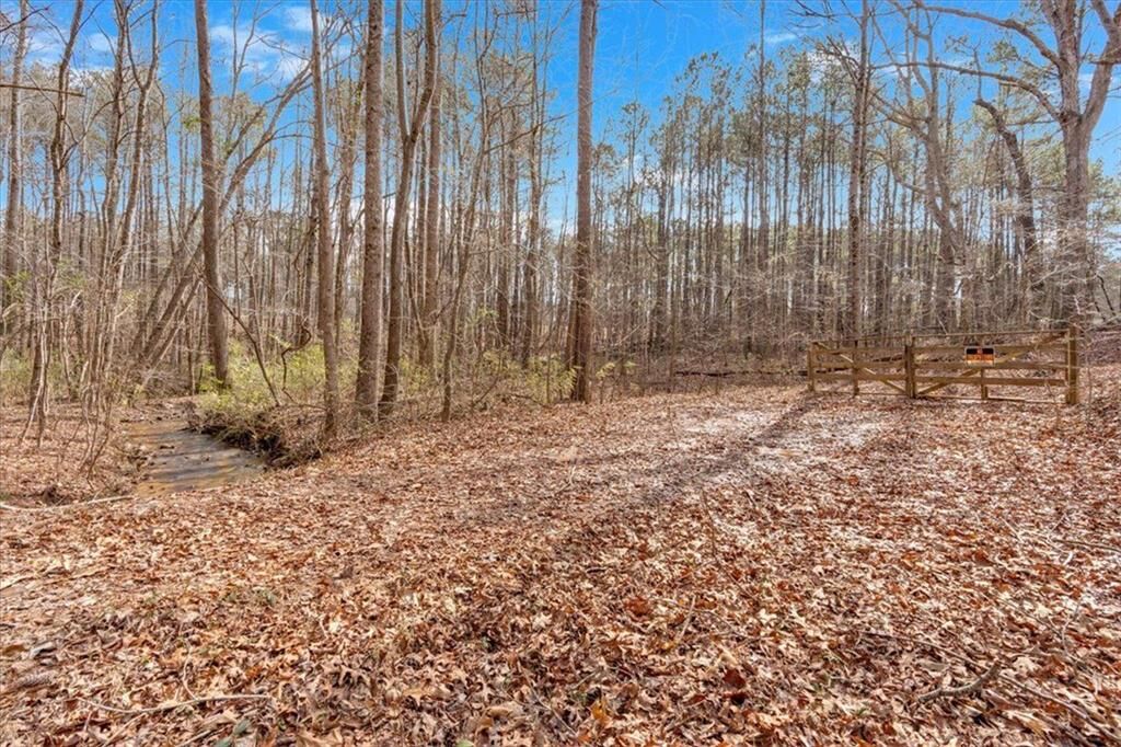 Property Photo: 0 Raburn Lake Road GA 30110