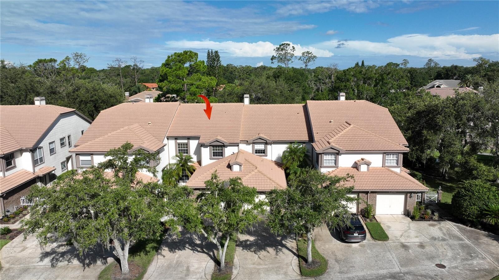 Property Photo: 1290 Clays Trail FL 34677