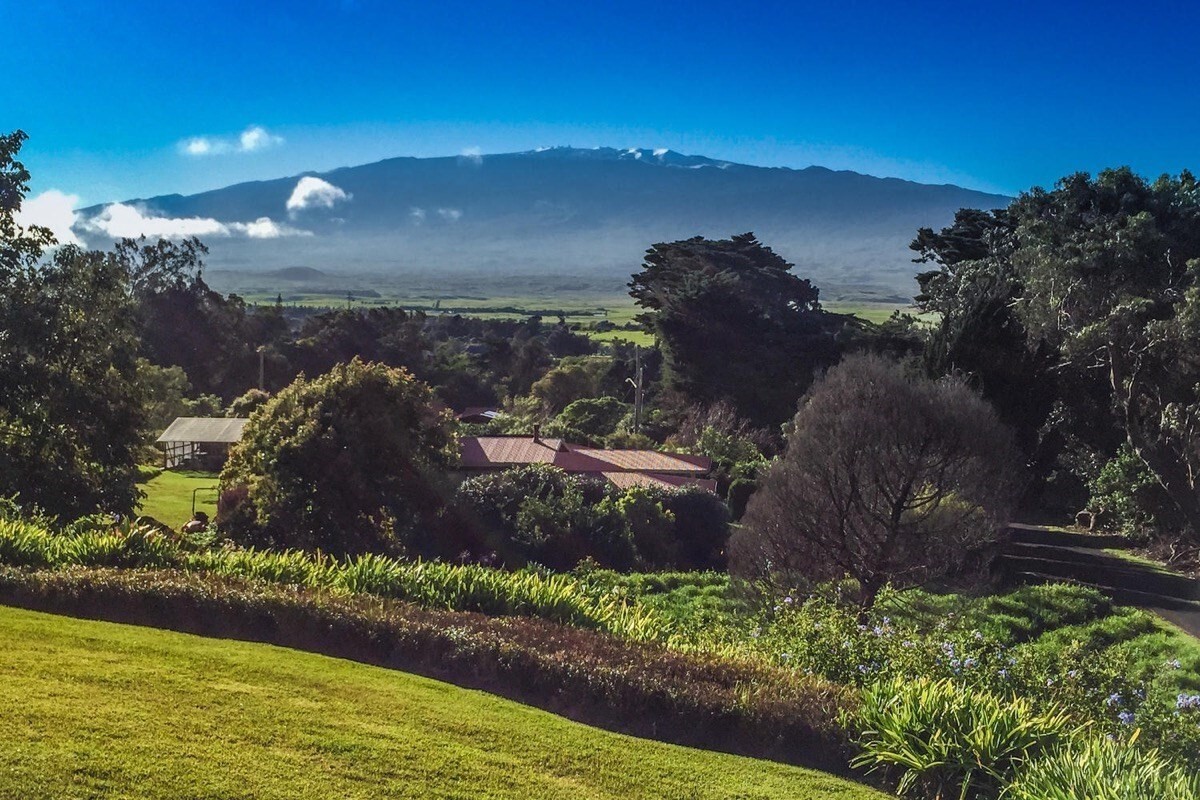 Property Photo:  65-1104 Hokuula Rd  HI 96743 