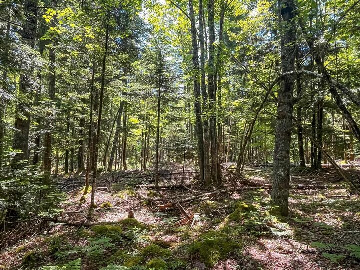 Property Photo:  Lot 1000  Conquerall Road  NS B0R 1G0 