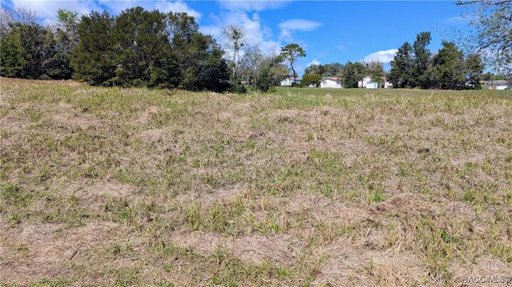 Property Photo: 1221 W Buttonbush Drive FL 34465