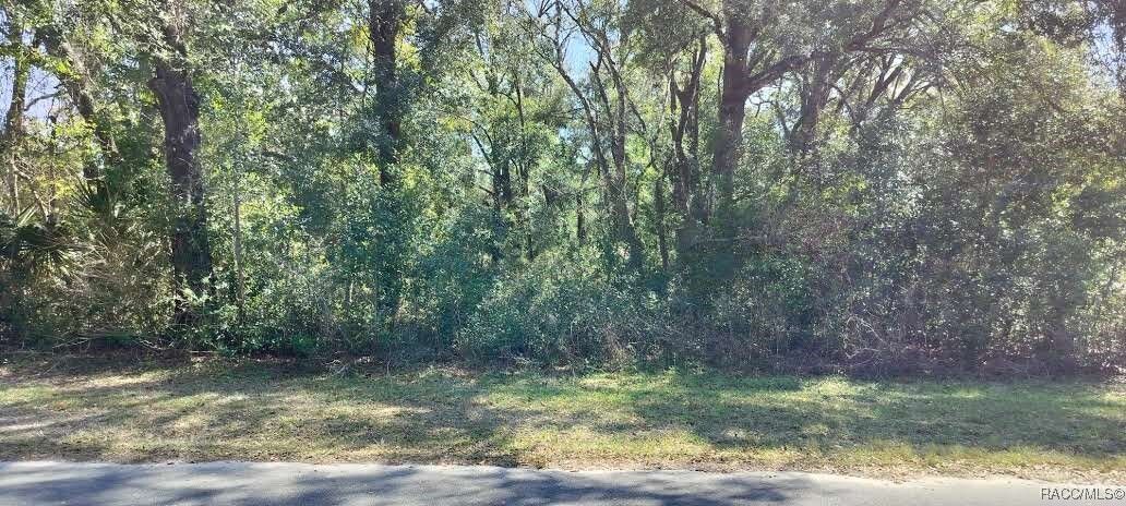 Property Photo: 517 S Savary Avenue FL 34453