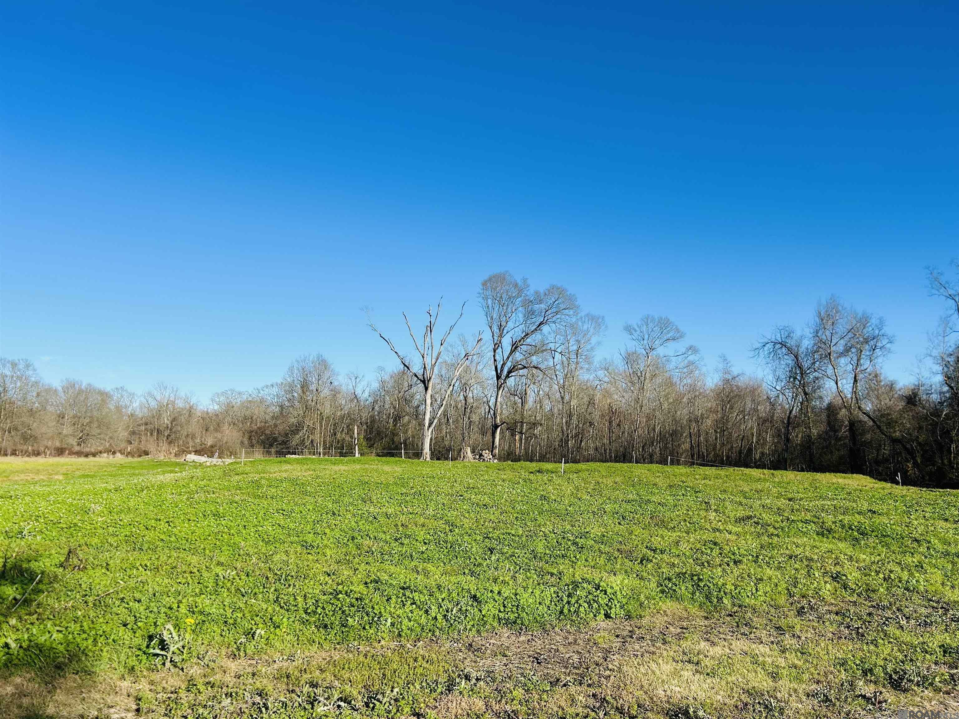 Property Photo: Poirrier Rd LA 70774
