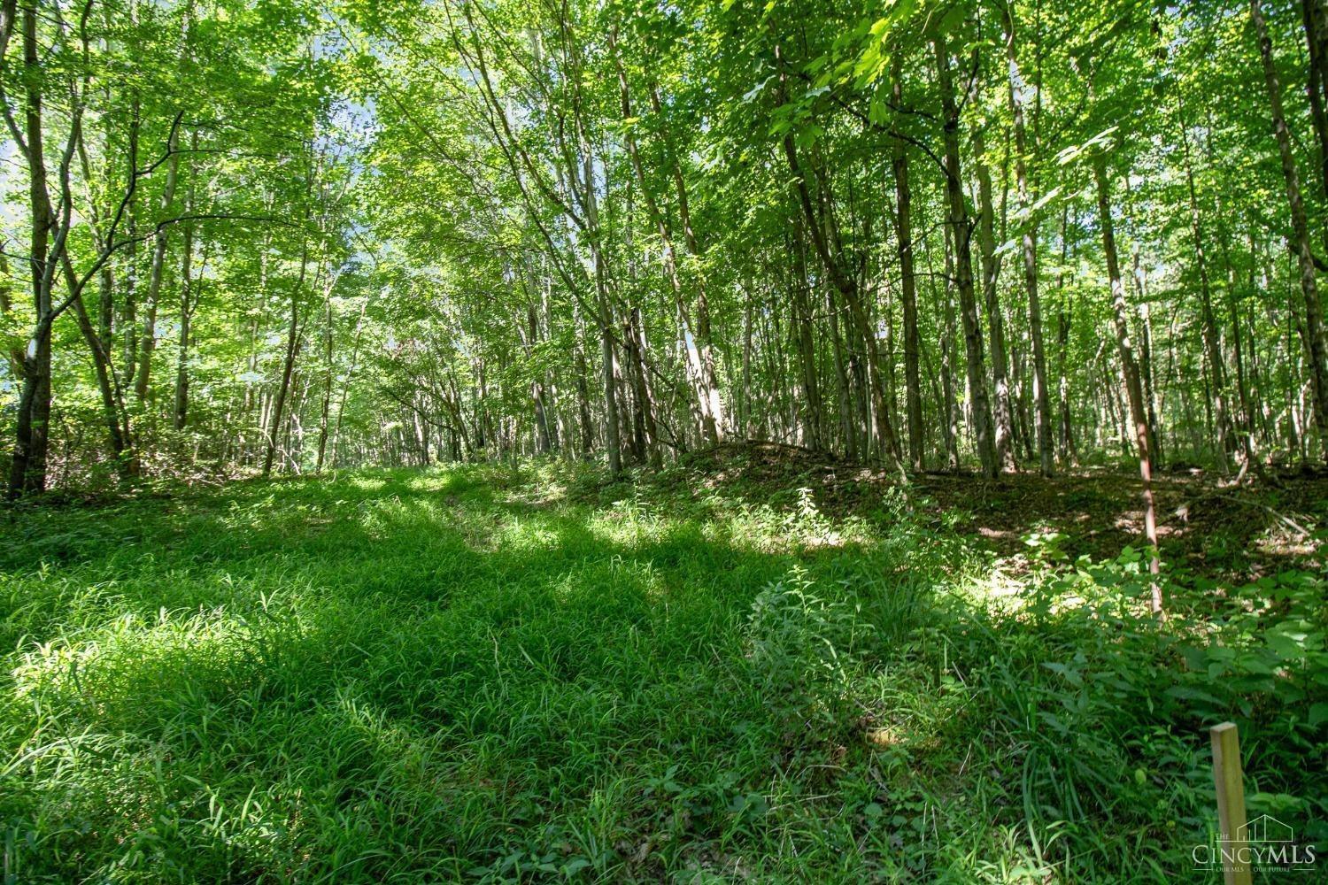 Property Photo:  0 Linton Road  OH 45122 