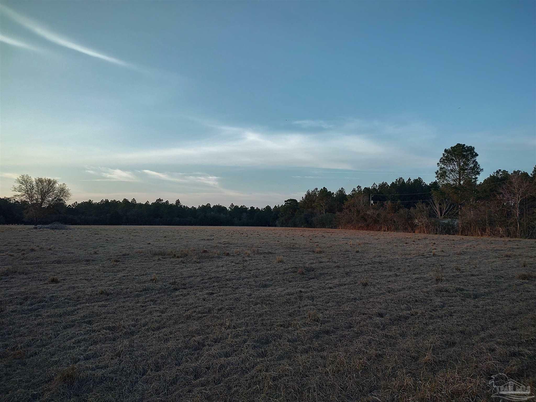 Property Photo:  0000 Pat Brown Rd  FL 32570 