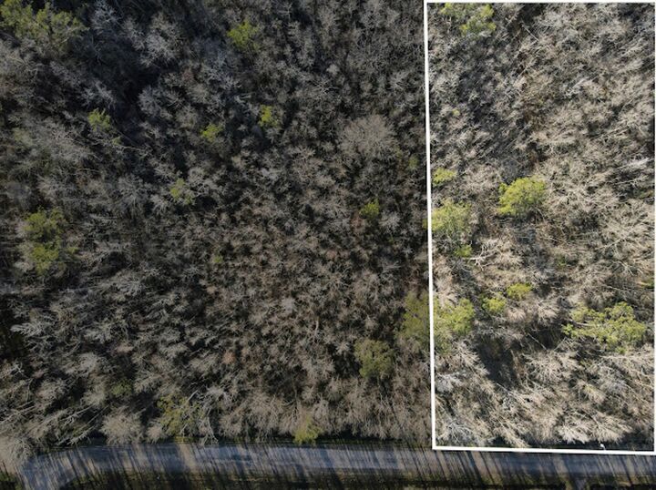 Property Photo: 658 County Road 3135 TX 77612