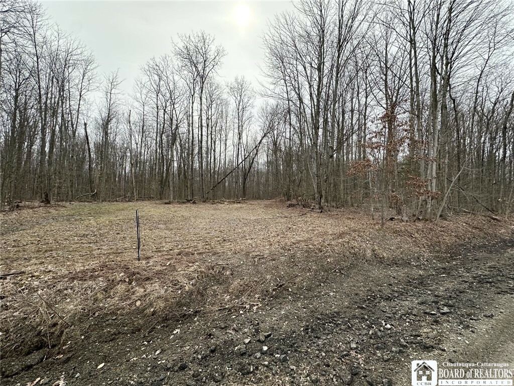 Property Photo: 0 Donelson Road NY 14701