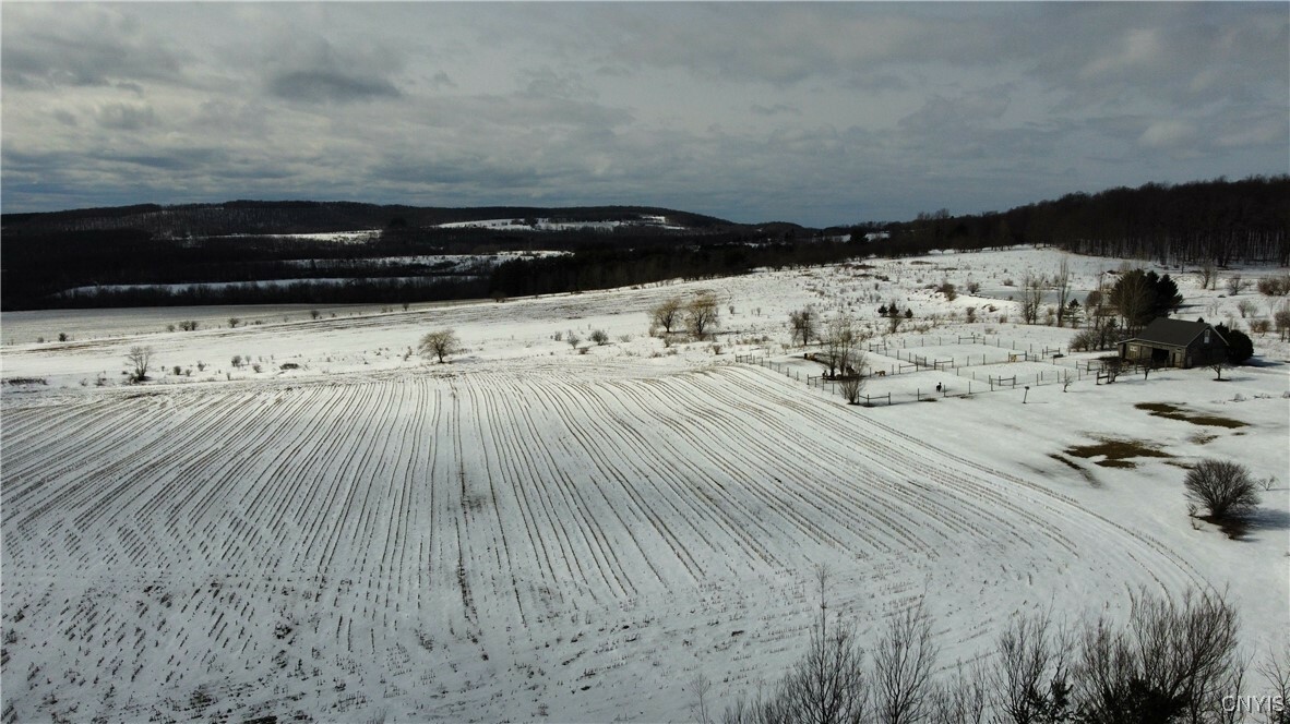 Property Photo:  S Cortland Virgil Road  NY 13045 