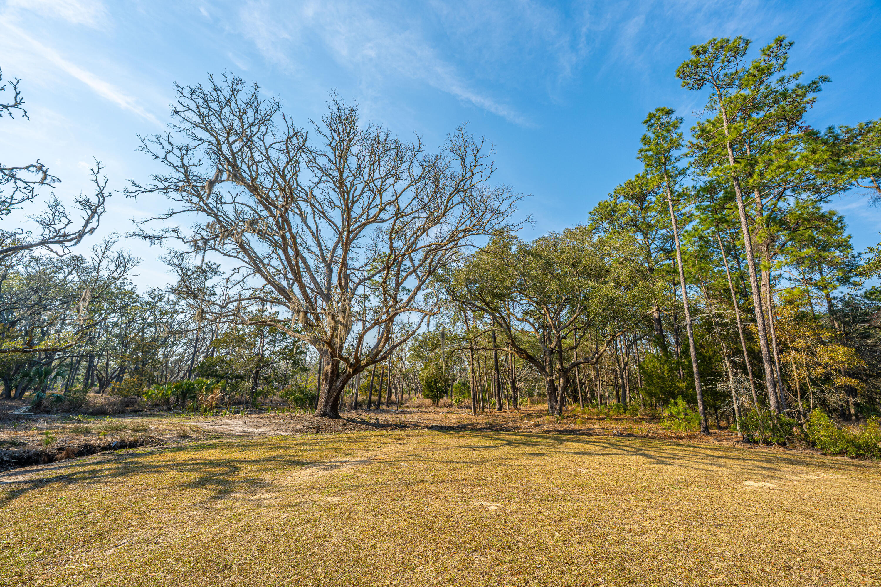 Property Photo: 0 Whooping Island Creek Drive SC 29438