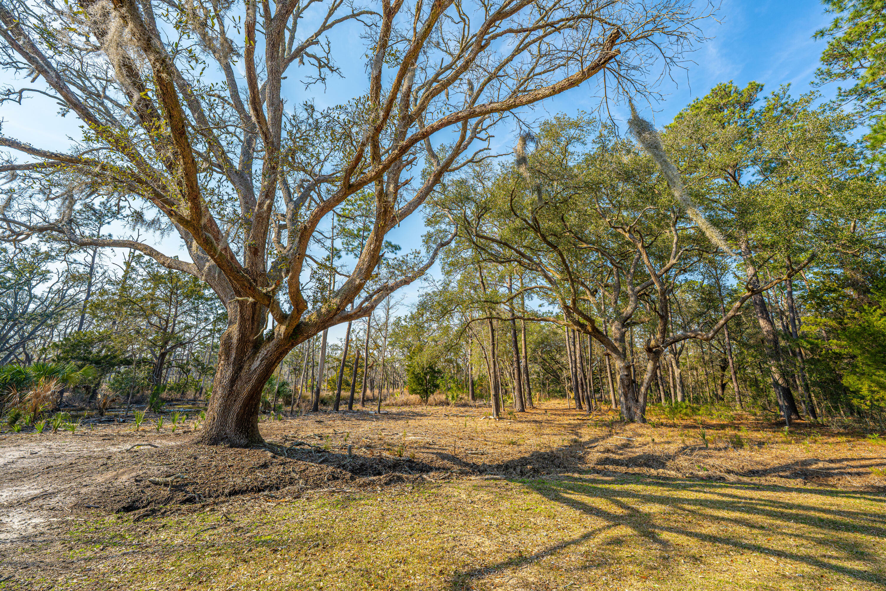 Property Photo:  0 Whooping Island Creek Drive  SC 29438 