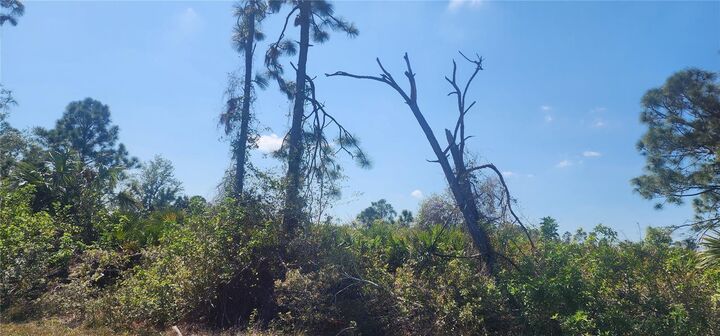 Property Photo: 4163 Hollybrook Street FL 33981