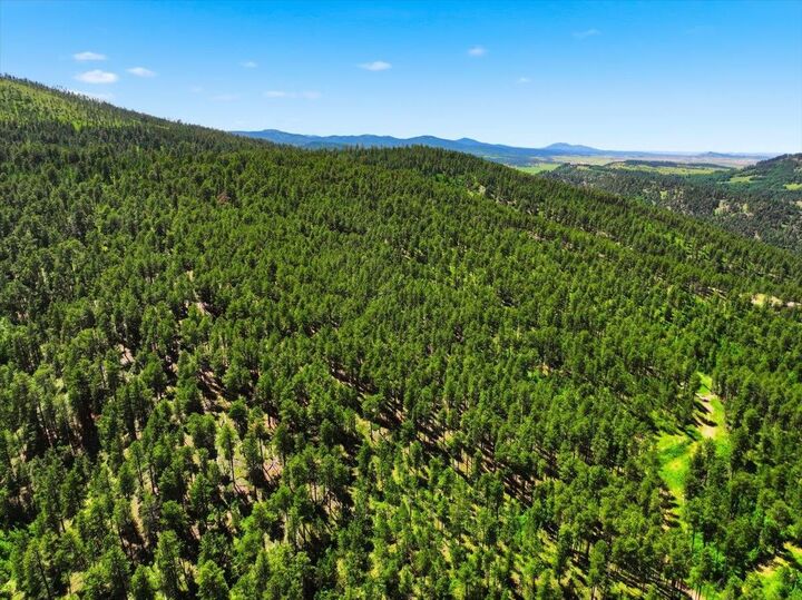 Property Photo:  Lot 3 Crook Mountain Road  SD 57793 