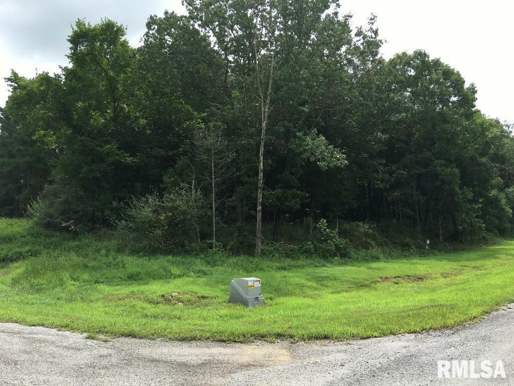 Property Photo: 00 Parrish Ridge Lane IL 62972