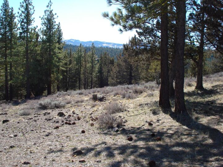 Property Photo:  463 Quail Run  CA 96122 