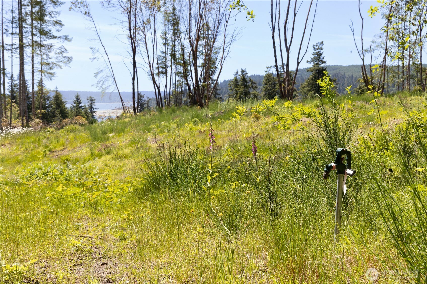 Property Photo:  0  Tract C  Teal Lake Road  WA 98365 