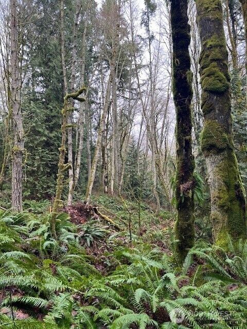 Property Photo:  0 20+Ac  Sackman Lane NE  WA 98370 