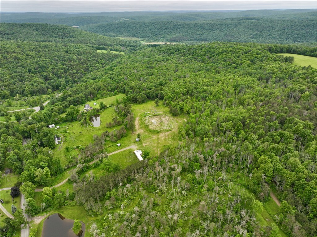 320 Owl Creek Rd  Spencer NY 14883 photo