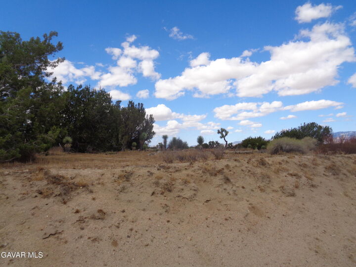 Property Photo:  190th Stw Ave. D12  CA 93591 