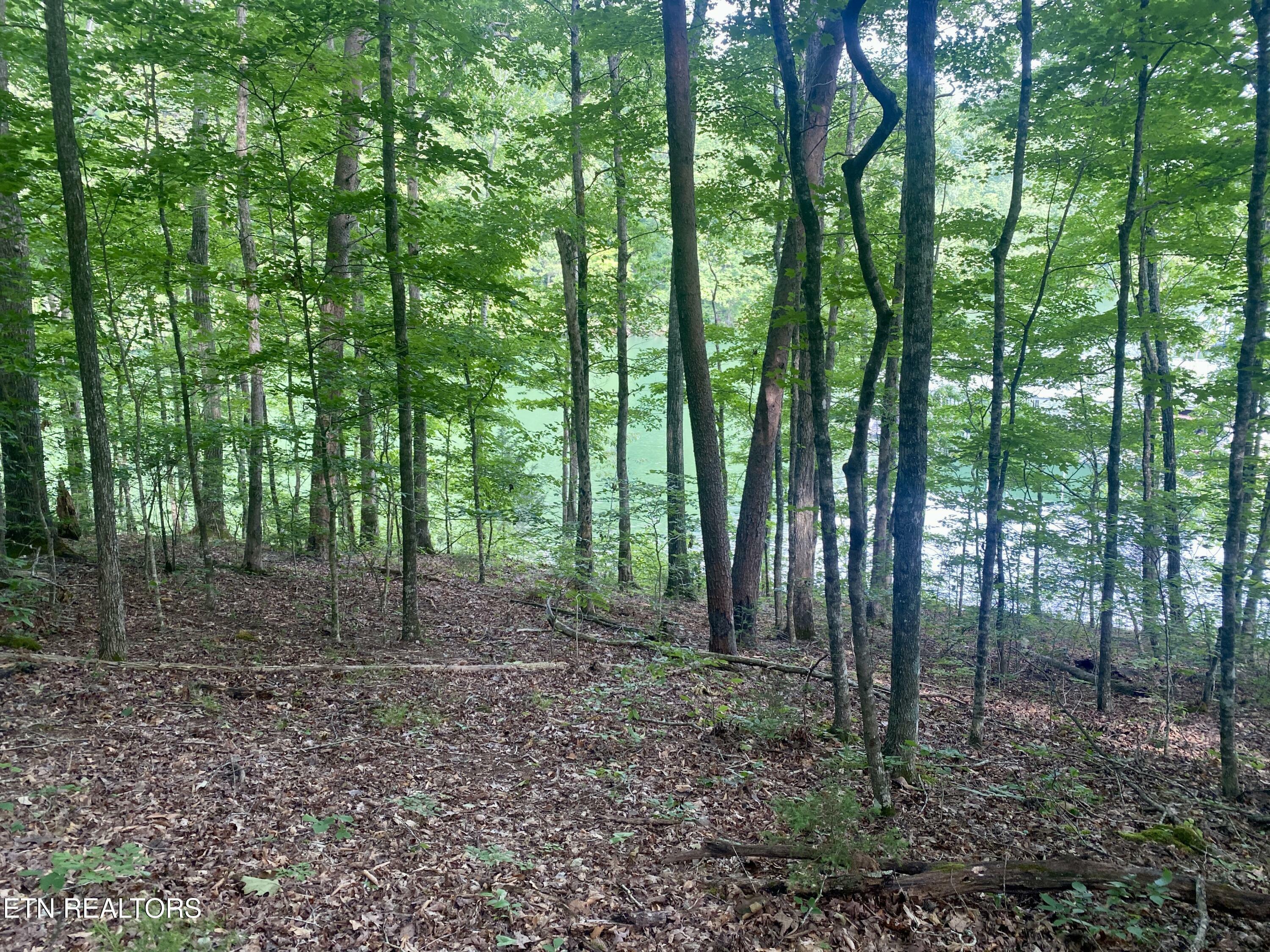 Property Photo:  Lot #130 Hickory Pointe Lane  TN 37807 