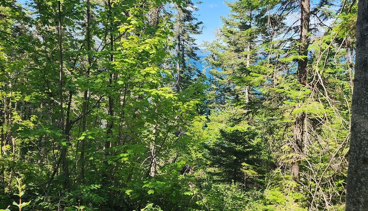 Property Photo: 24699 Mt Highway 35 MT 59911