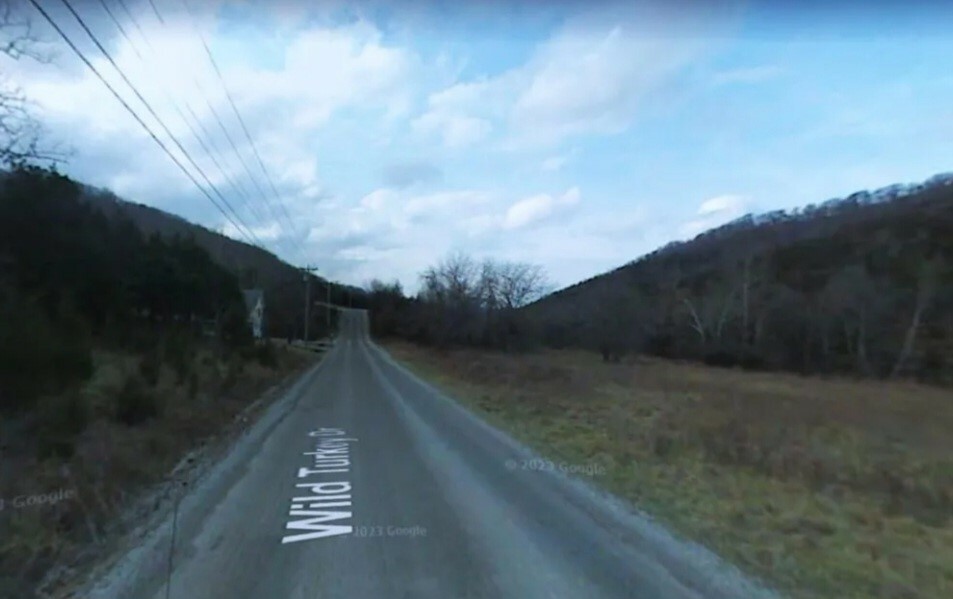 Property Photo: Lot 14 Wild Turkey Drive AR 72631