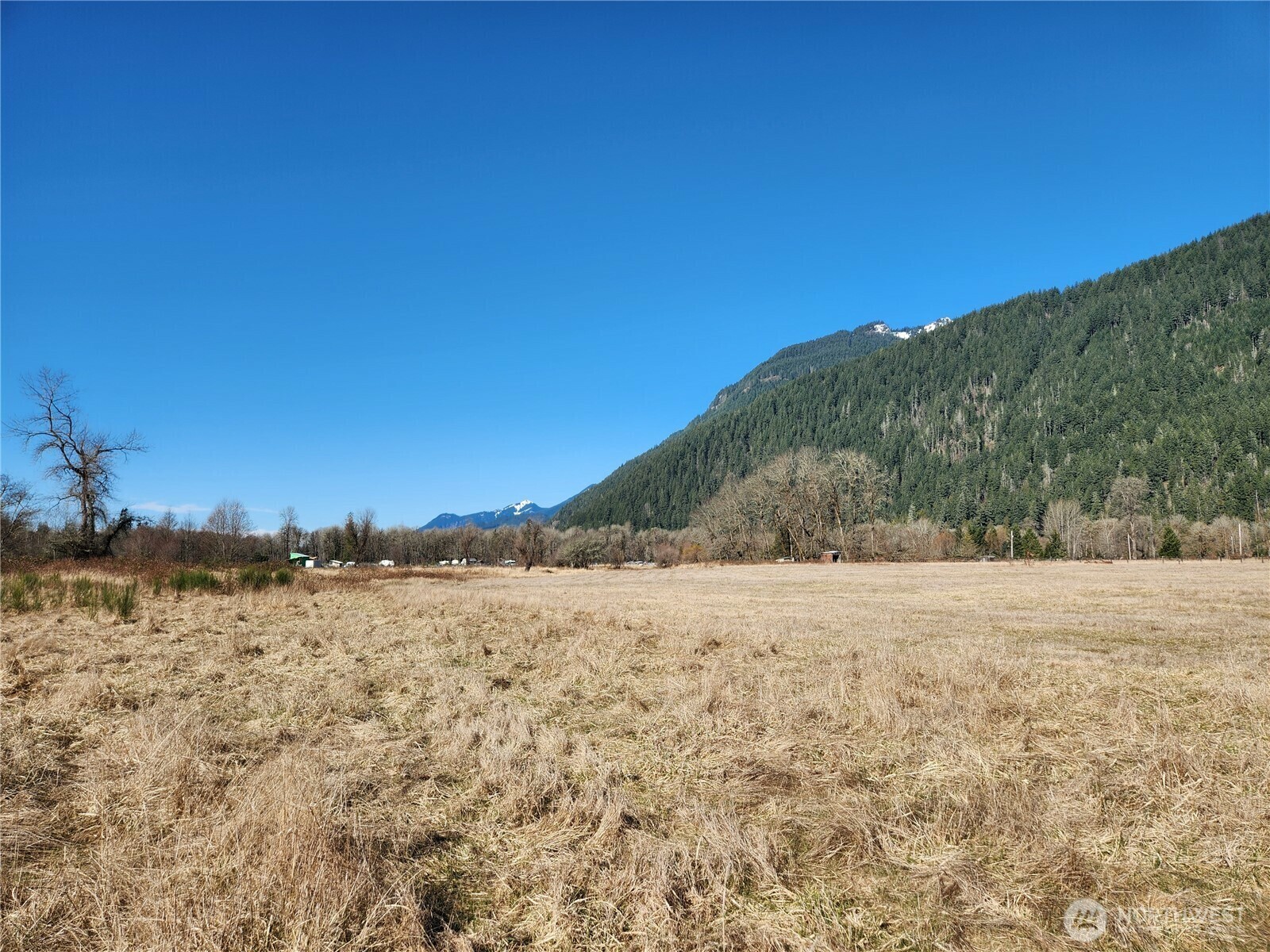 Property Photo:  112  Horseshoe Lane  WA 98593 