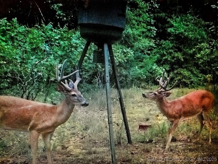 5811 W Folsom Road  Caddo OK 74729 photo