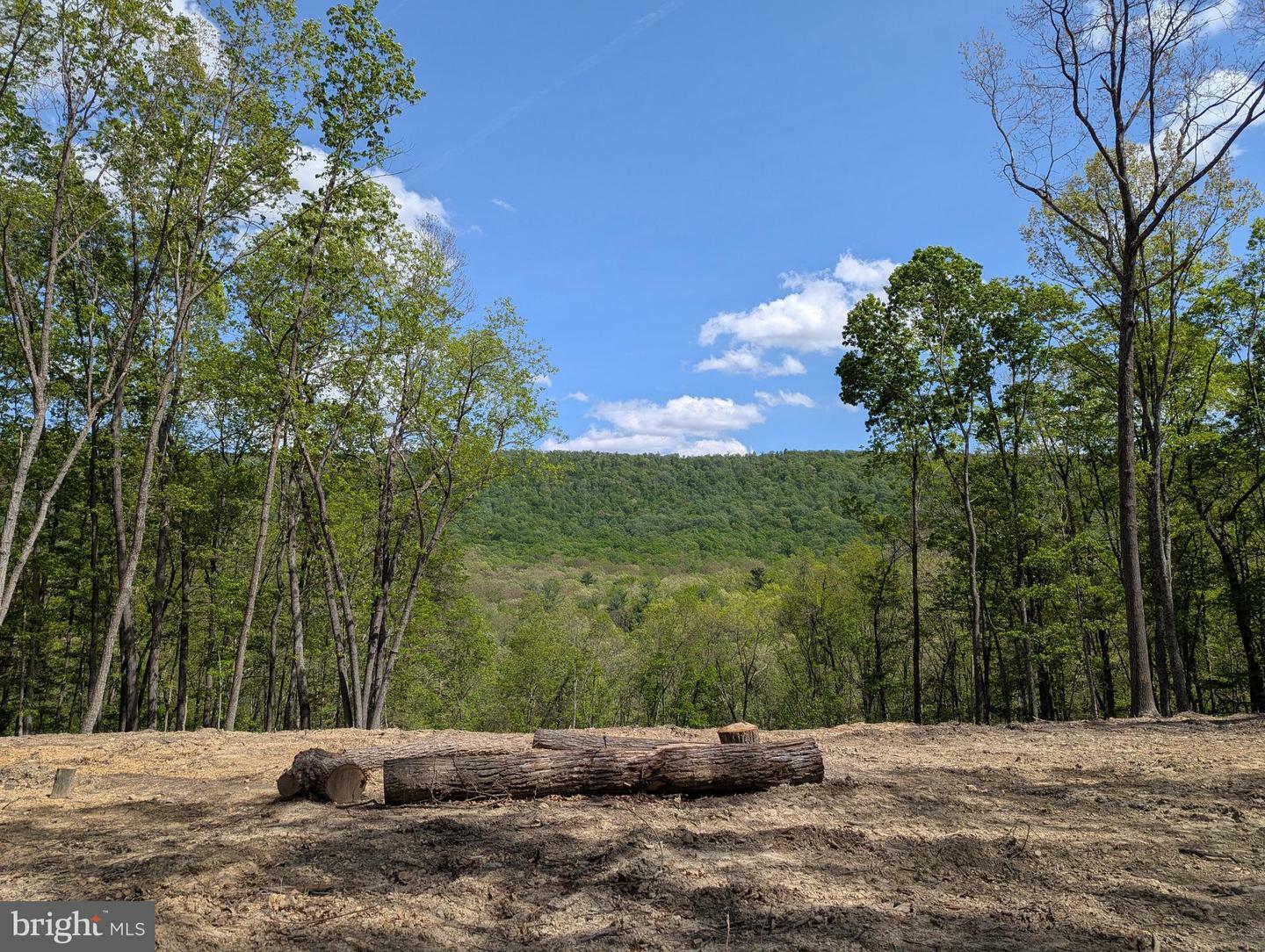 Property Photo: Lot 20 Otter Creek Drive WV 25420