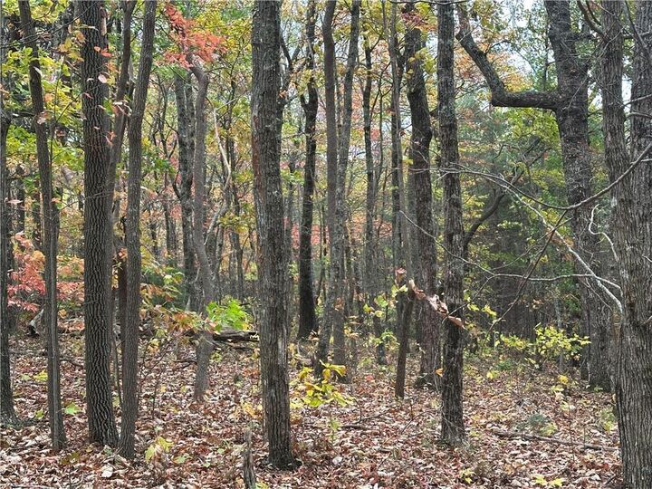 Property Photo:  0 Northland Trail  GA 30536 