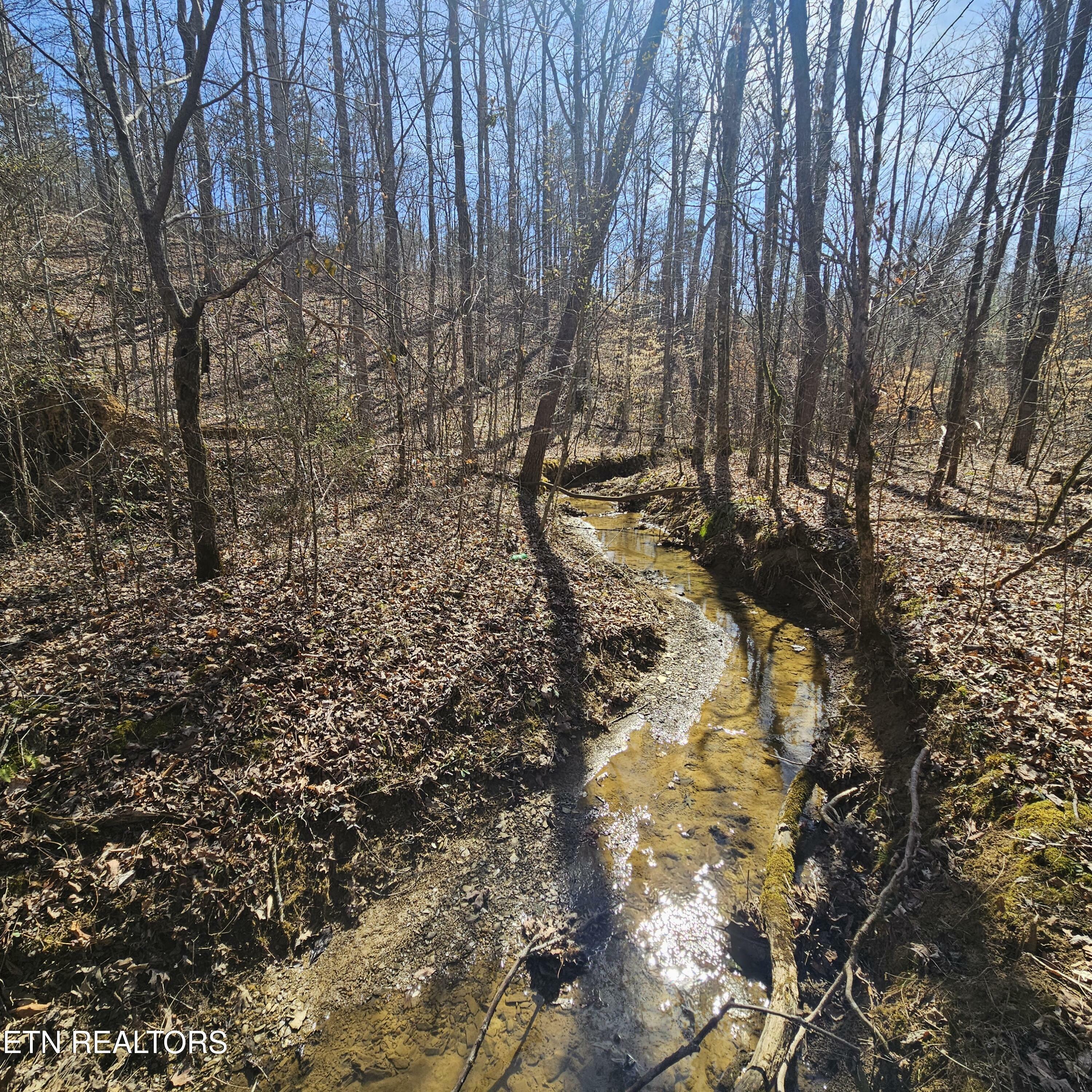 Property Photo:  0 Lick Creek Rd  TN 37385 