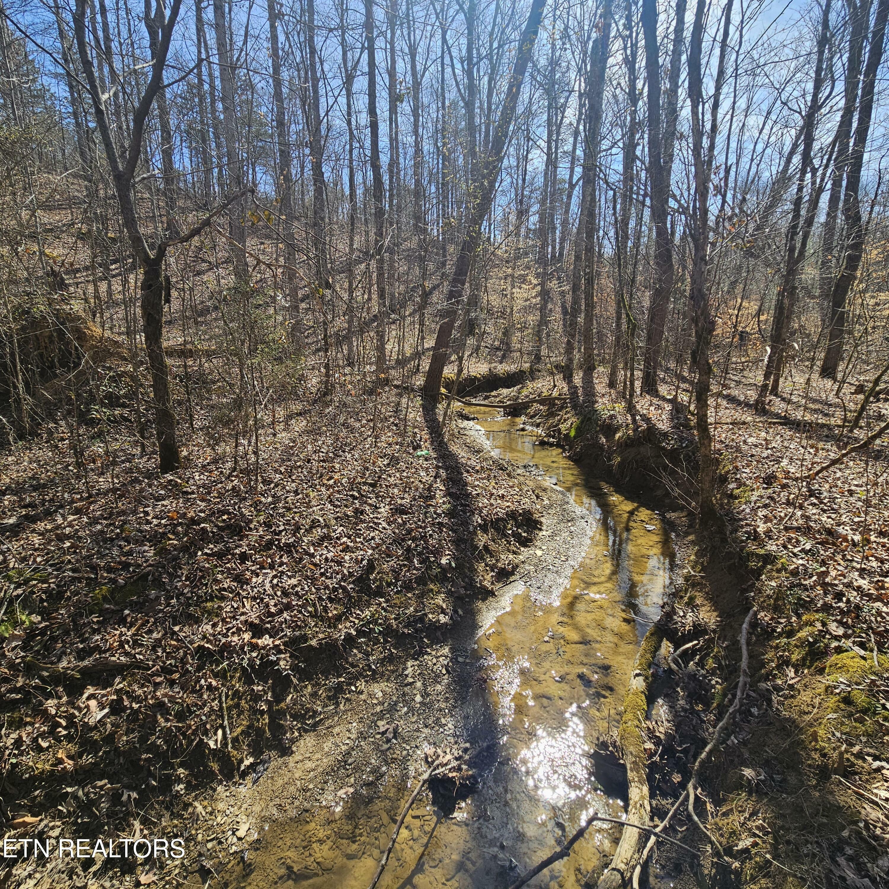 Property Photo: 0 Lick Creek Rd TN 37385