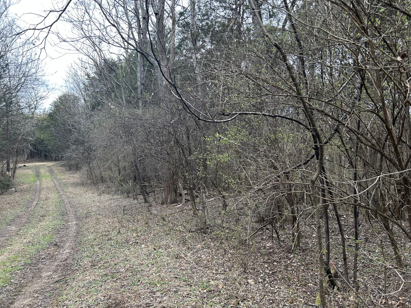 Property Photo: 3440 Spring Lane W TN 37890