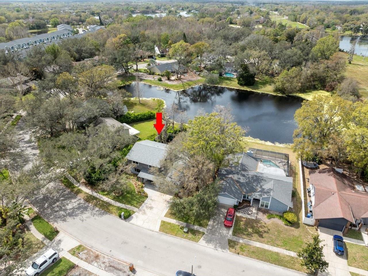 Property Photo:  16644 Vallely Drive  FL 33618 