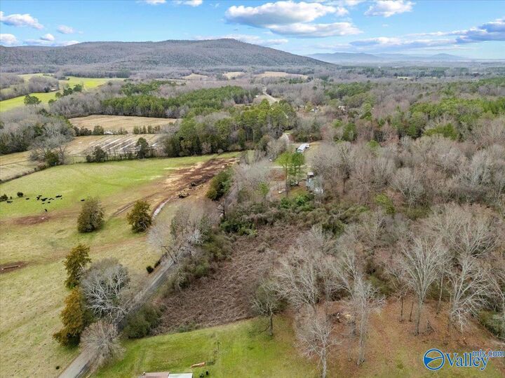 Property Photo: 4 Acres County Road 42 AL 35752