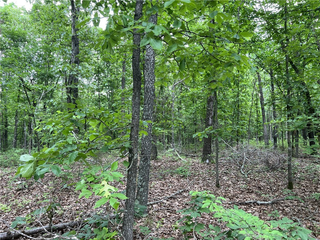 Property Photo:  Tract W Off Of Meadow Creek Drive  AR 72601 