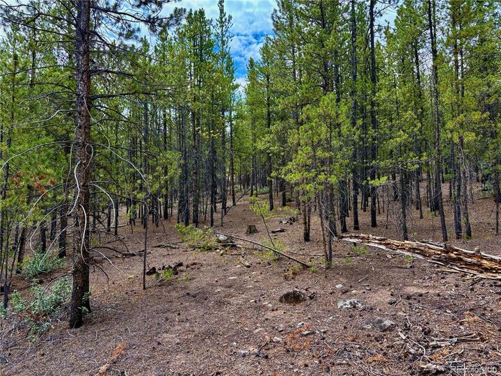 Property Photo:  104 & 124 Mt Massive Road  CO 81251 