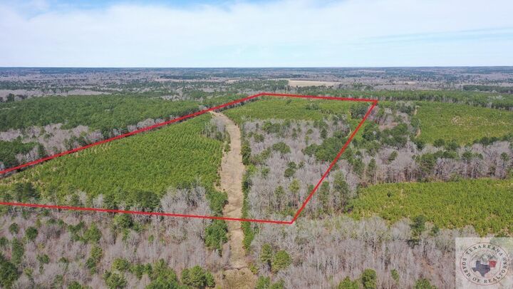 0003 Cr 1115  Atlanta TX 75551 photo