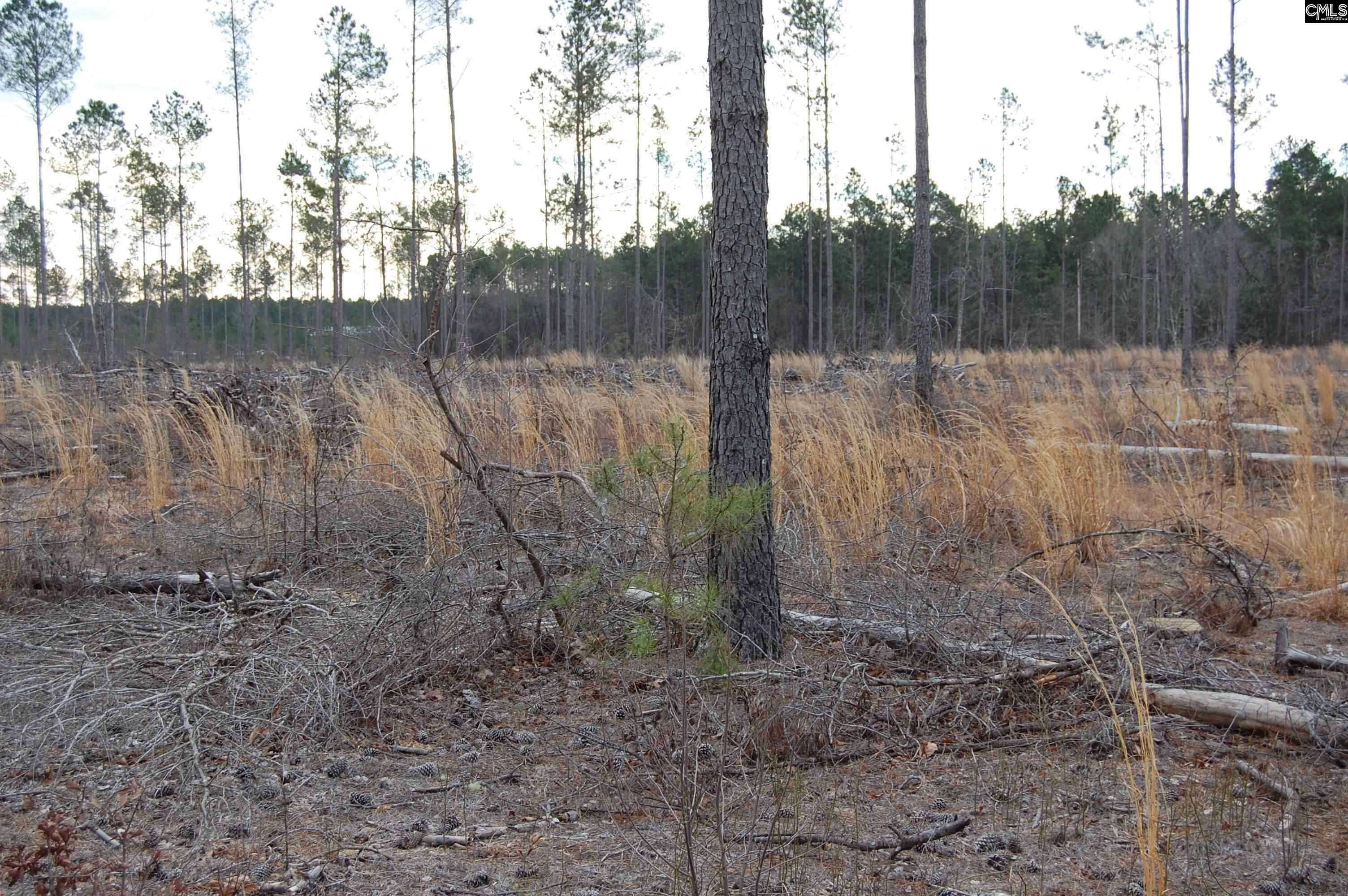 Property Photo: 1035 Yarborough SC 29032