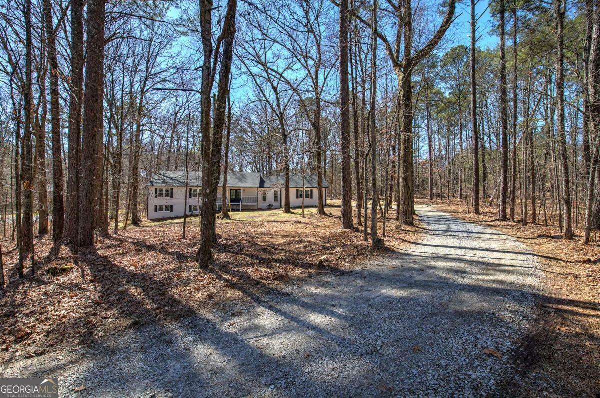 Property Photo:  163 Bruce Road  GA 30134 