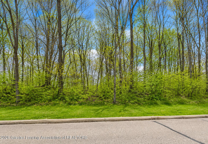 Property Photo:  6285 Heathfield Drive  MI 48823 