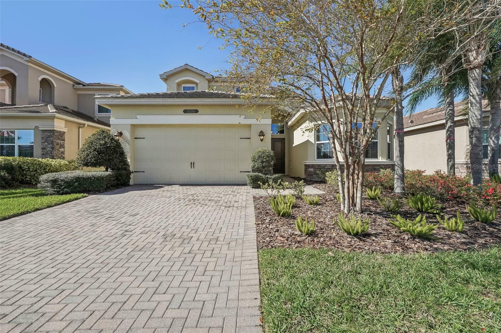 30280 Southernwood Court  Wesley Chapel FL 33543 photo