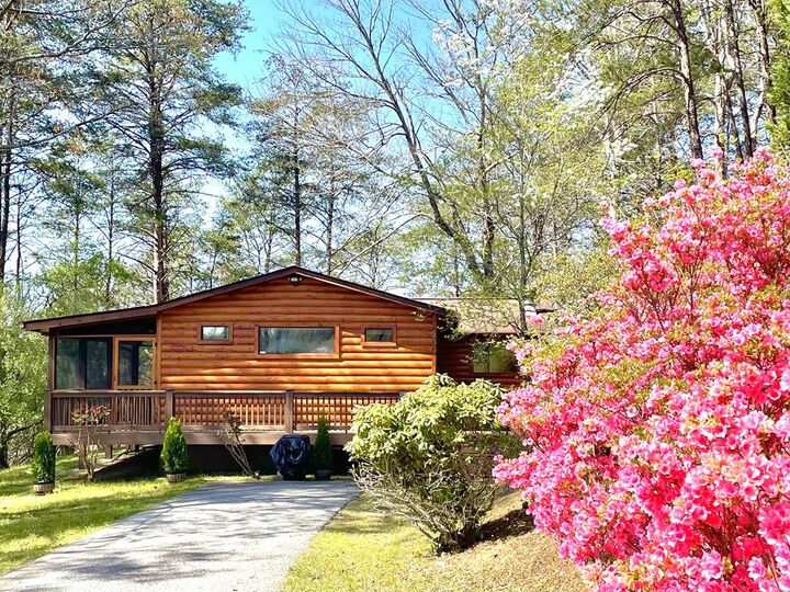 Property Photo: 233 River Hills GA 30559