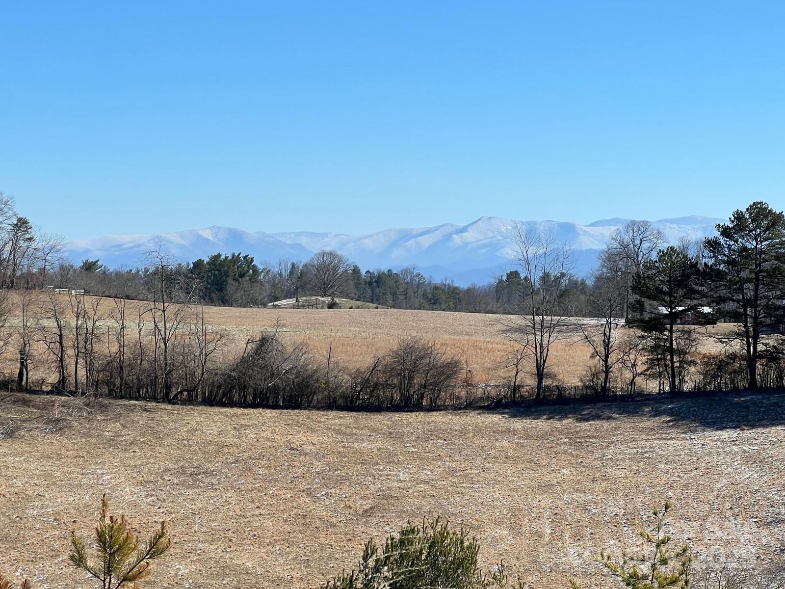 Property Photo:  7550 Meadows Town Road  NC 28753 