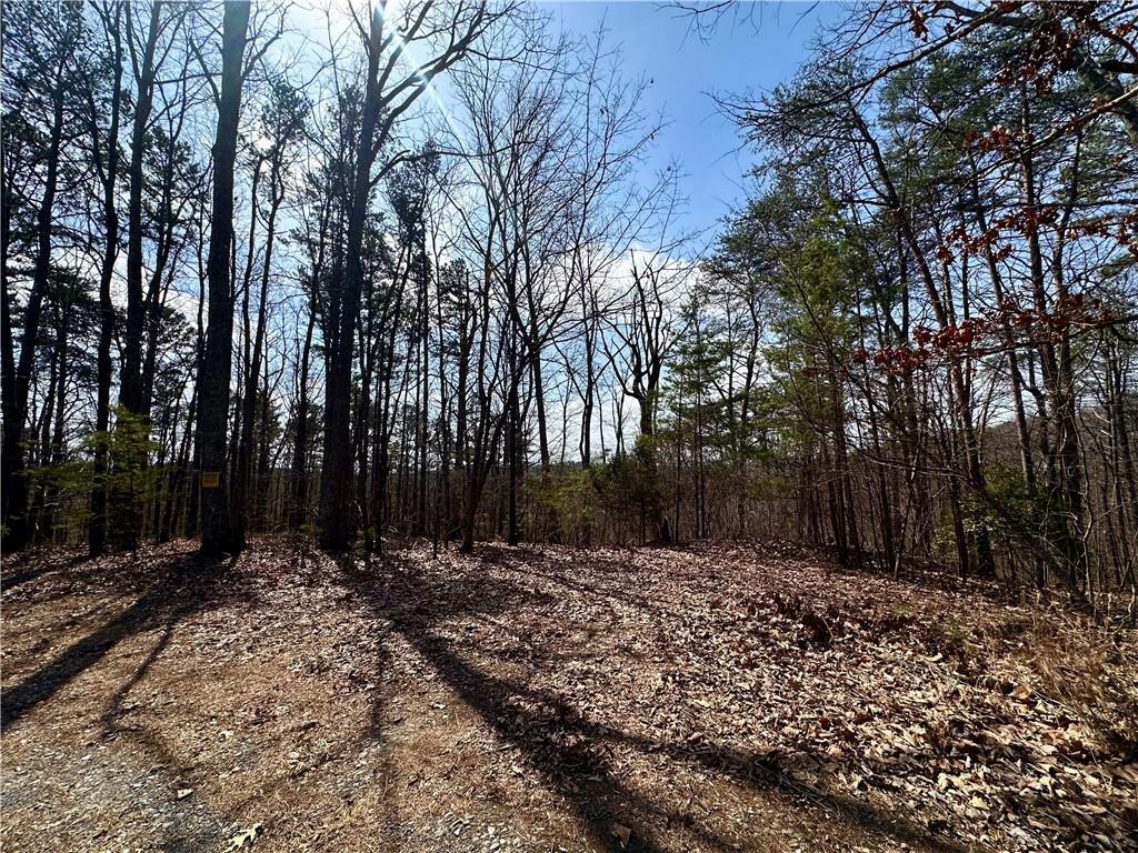 1345 Hunter Drive  Ranger GA 30734 photo