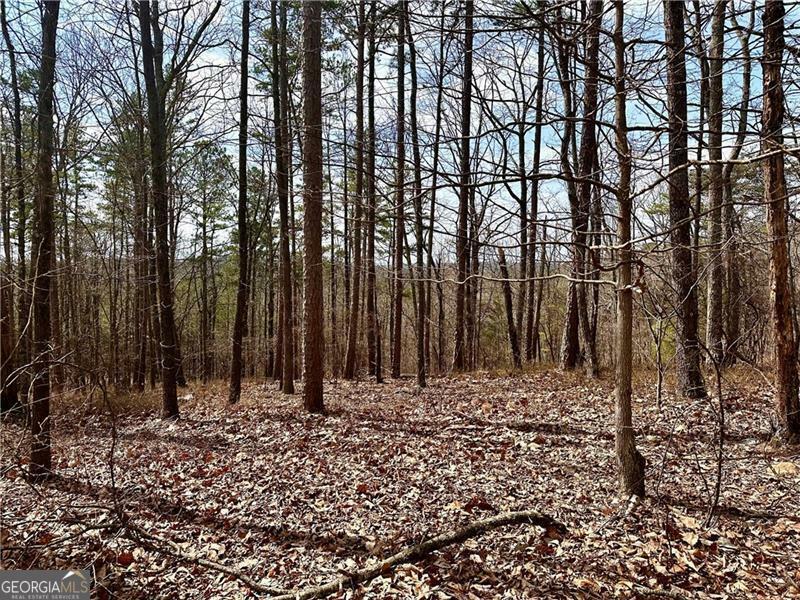 Property Photo: 1344 Hunter Drive GA 30734