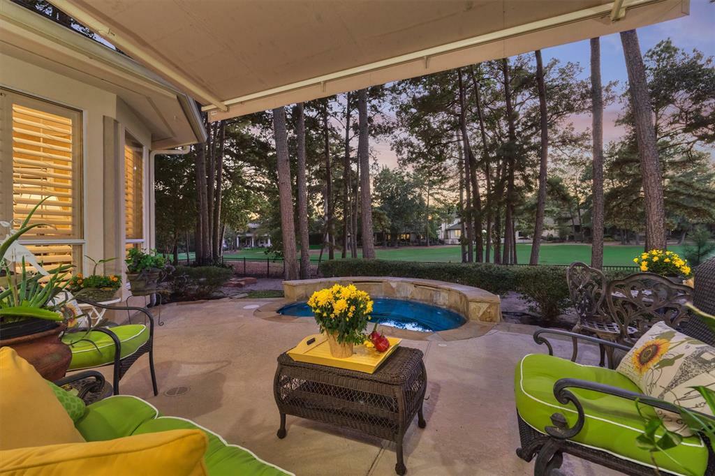 Property Photo: 56 Waterberry Court TX 77356