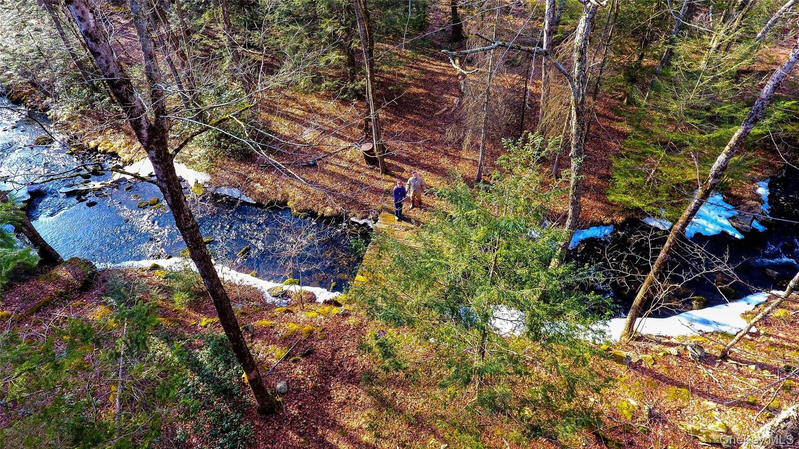 Property Photo:  1021 Pine Kill Road  NY 12790 