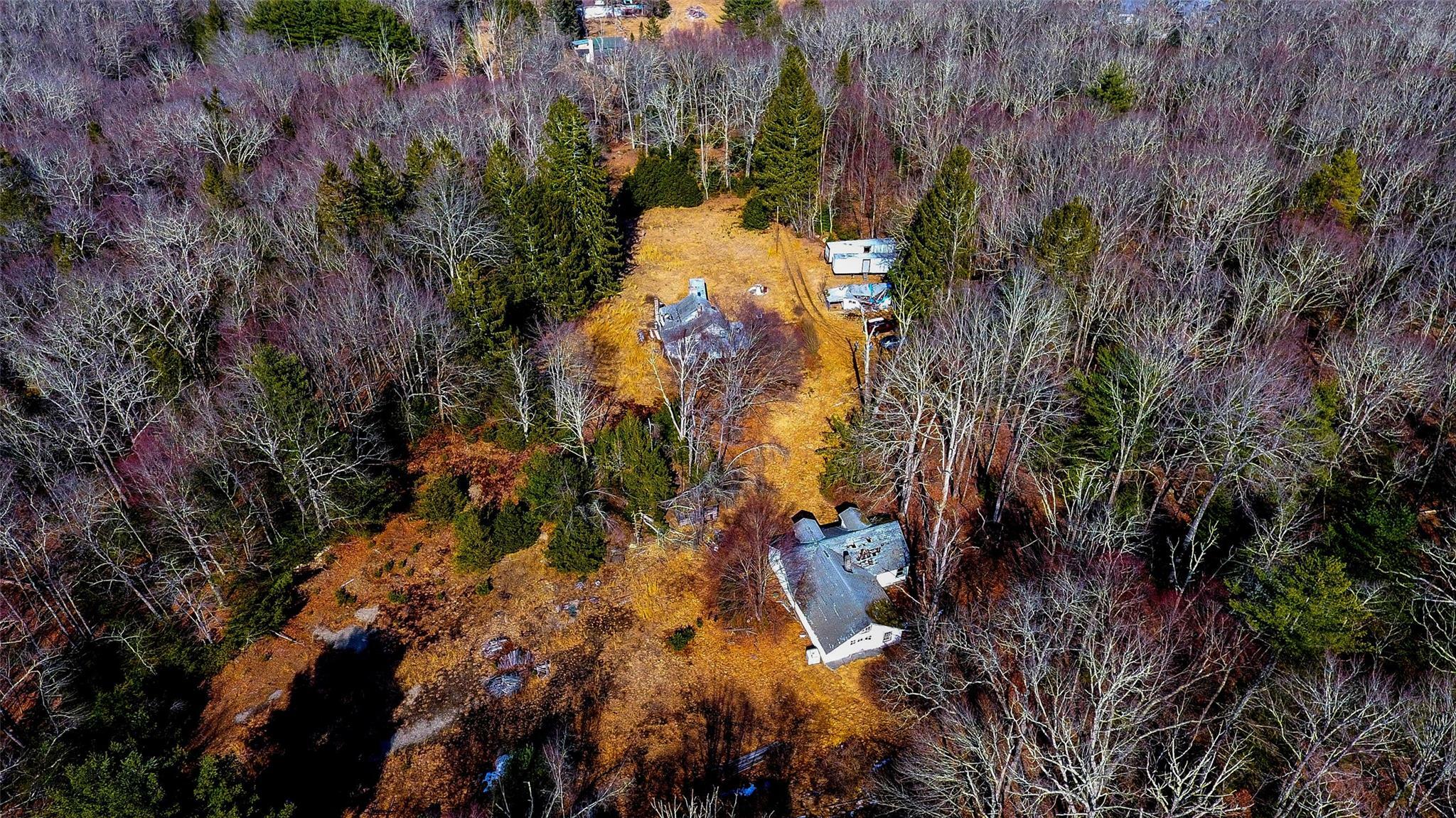 Property Photo: 1021 Pine Kill Road NY 12790