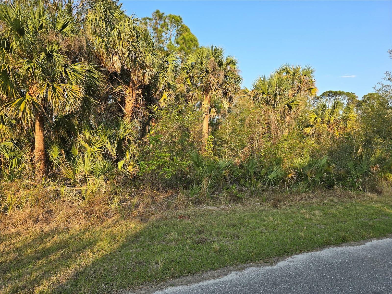 Property Photo:  348 Ramblewood Street  FL 33953 
